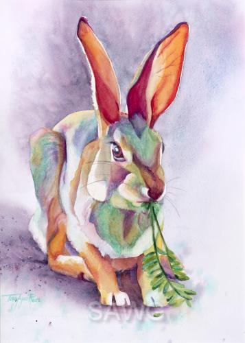 Colorful Cottontail by Tracy Lynn Ross
